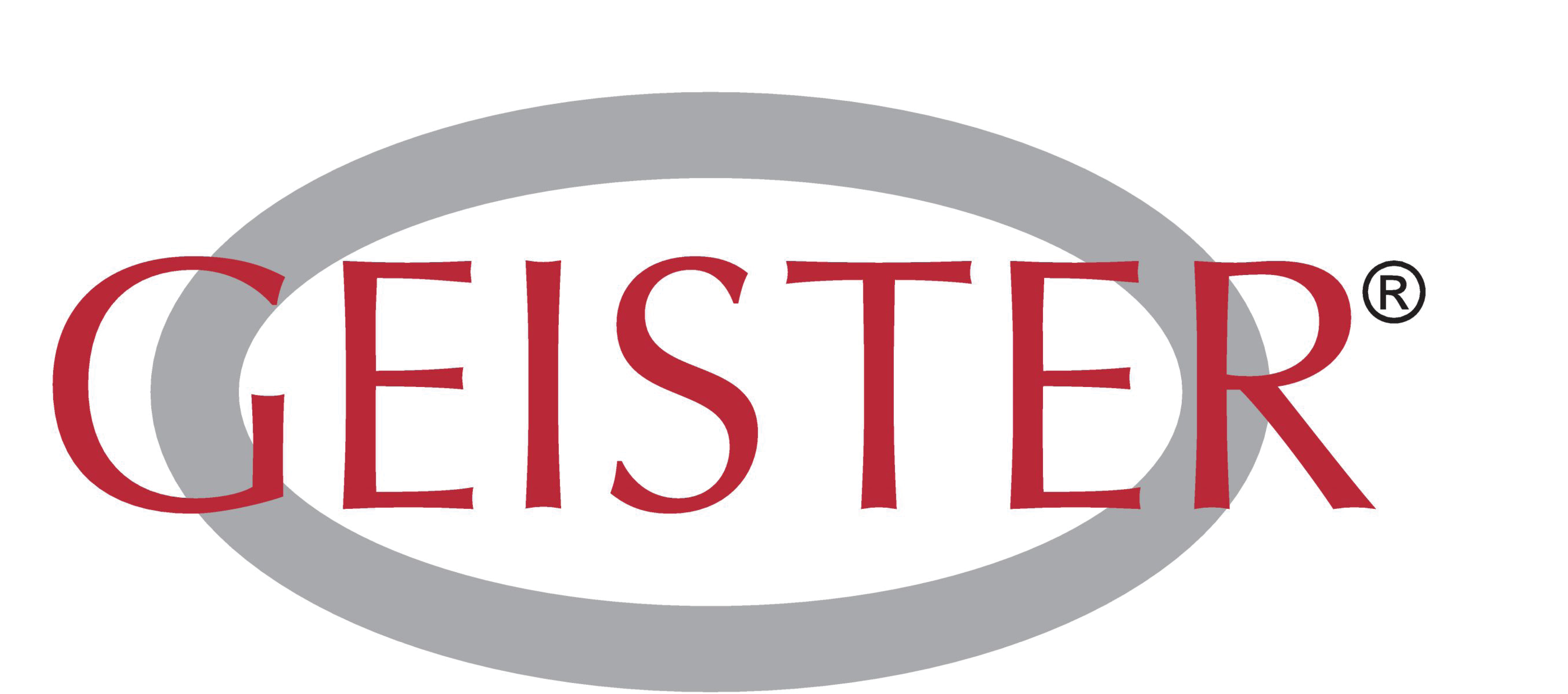 Geister logo